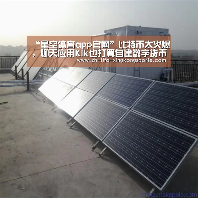 “星空体育app官网”比特币太火爆，聊天应用Kik也打算自建数字货币(图3)
