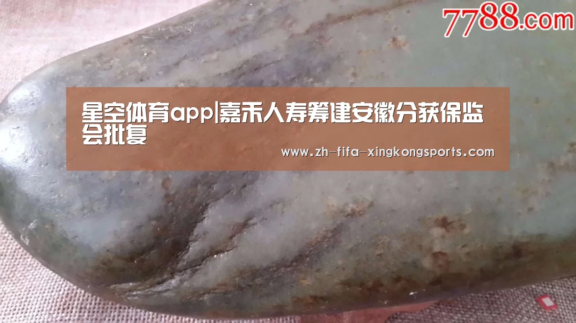 星空体育app|嘉禾人寿筹建安徽分获保监会批复(图1) 星空体育app官网
