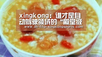 xingkong：谁才是自动驾驶领域的“殿堂级玩家”？这个答案很real(图3)