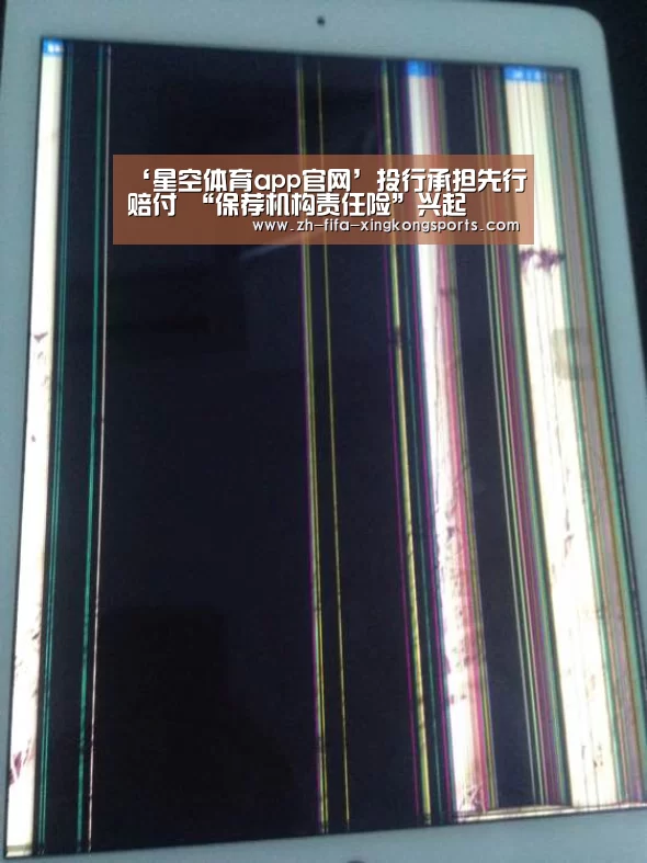 星空体育app
