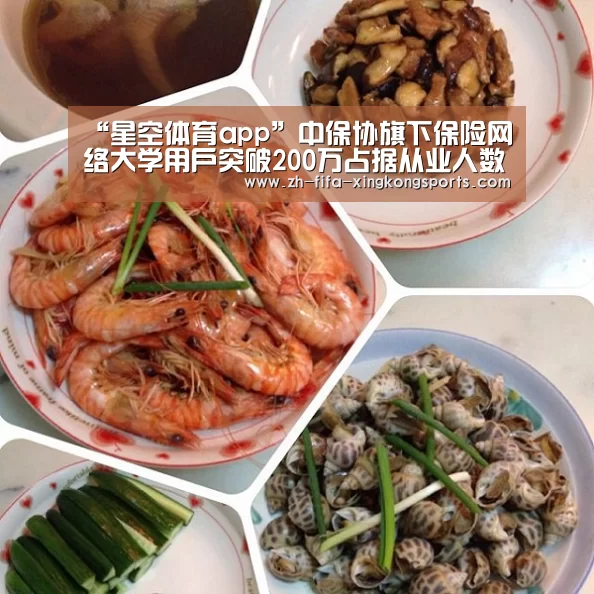 “星空体育app”中保协旗下保险网络大学用户突破200万占据从业人数近1/4(图4)