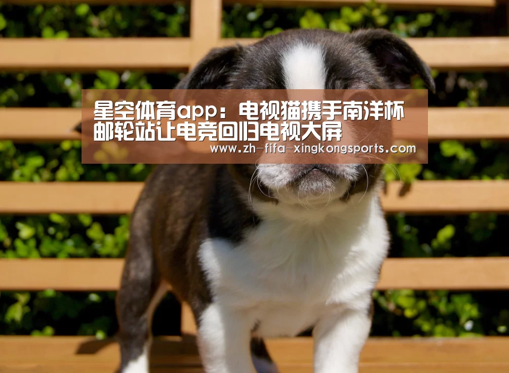 星空体育app官网