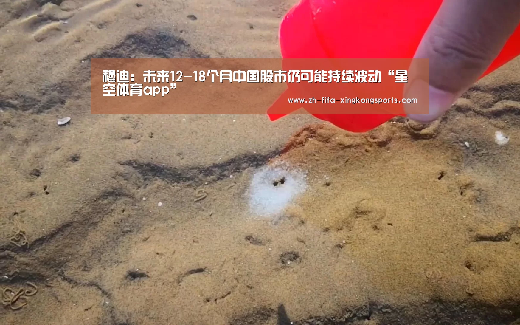 星空体育app官网