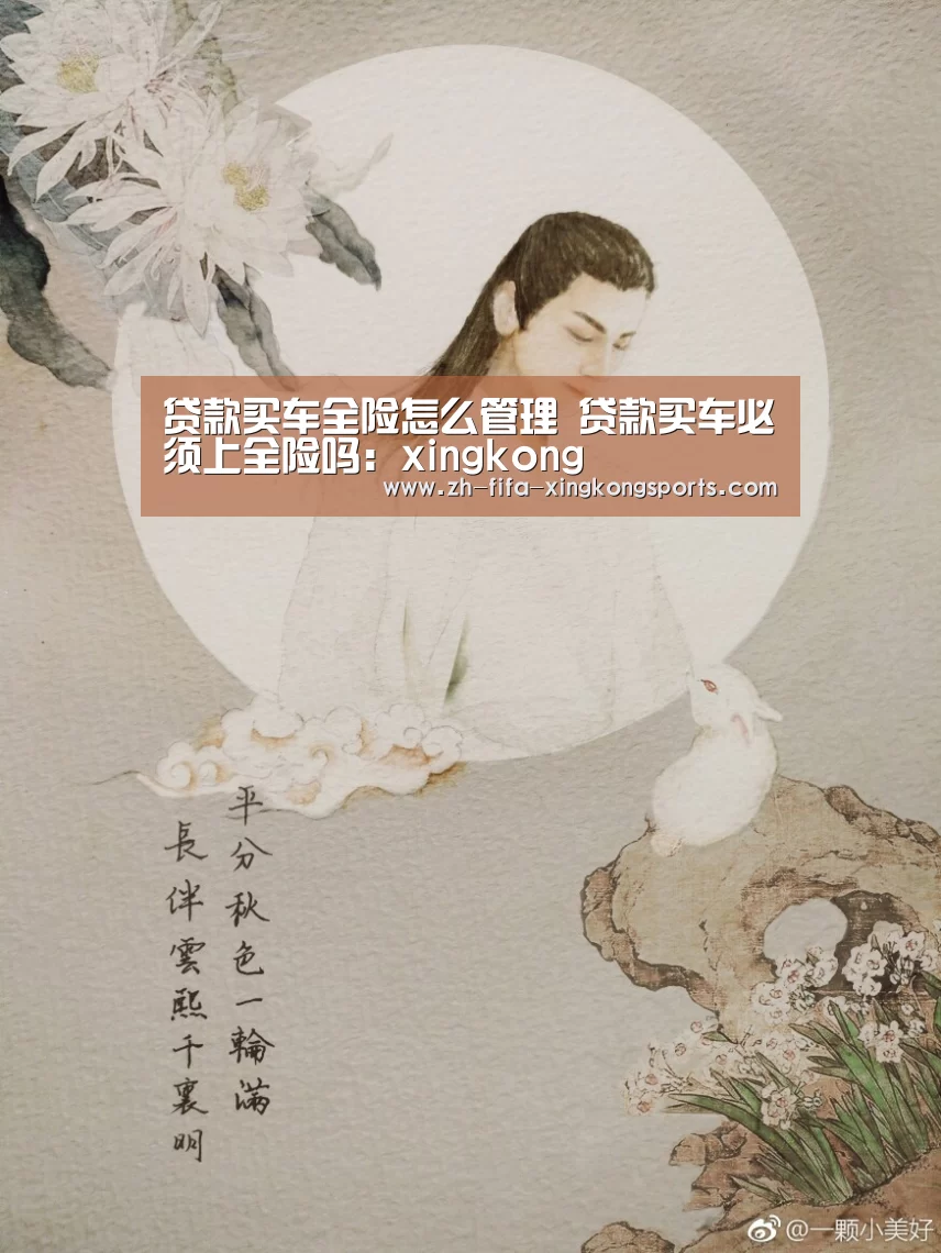 贷款买车全险怎么管理 贷款买车必须上全险吗：xingkong(图1)