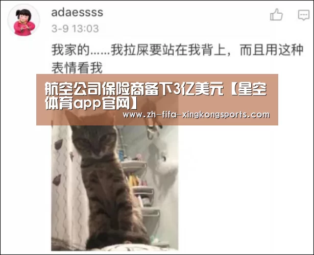 航空公司保险商备下3亿美元【星空体育app官网】(图1) 星空体育 半岛