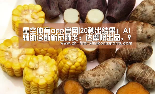 星空体育app官网|20秒出结果！AI辅助诊断新冠肺炎：达摩院出品，96%准确率(图1)
