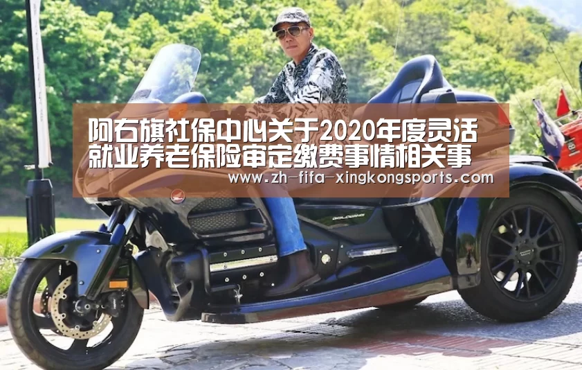 阿右旗社保中心关于2020年度灵活就业养老保险审定缴费事情相关事宜的通知_xingkong(图4) 星空体育app