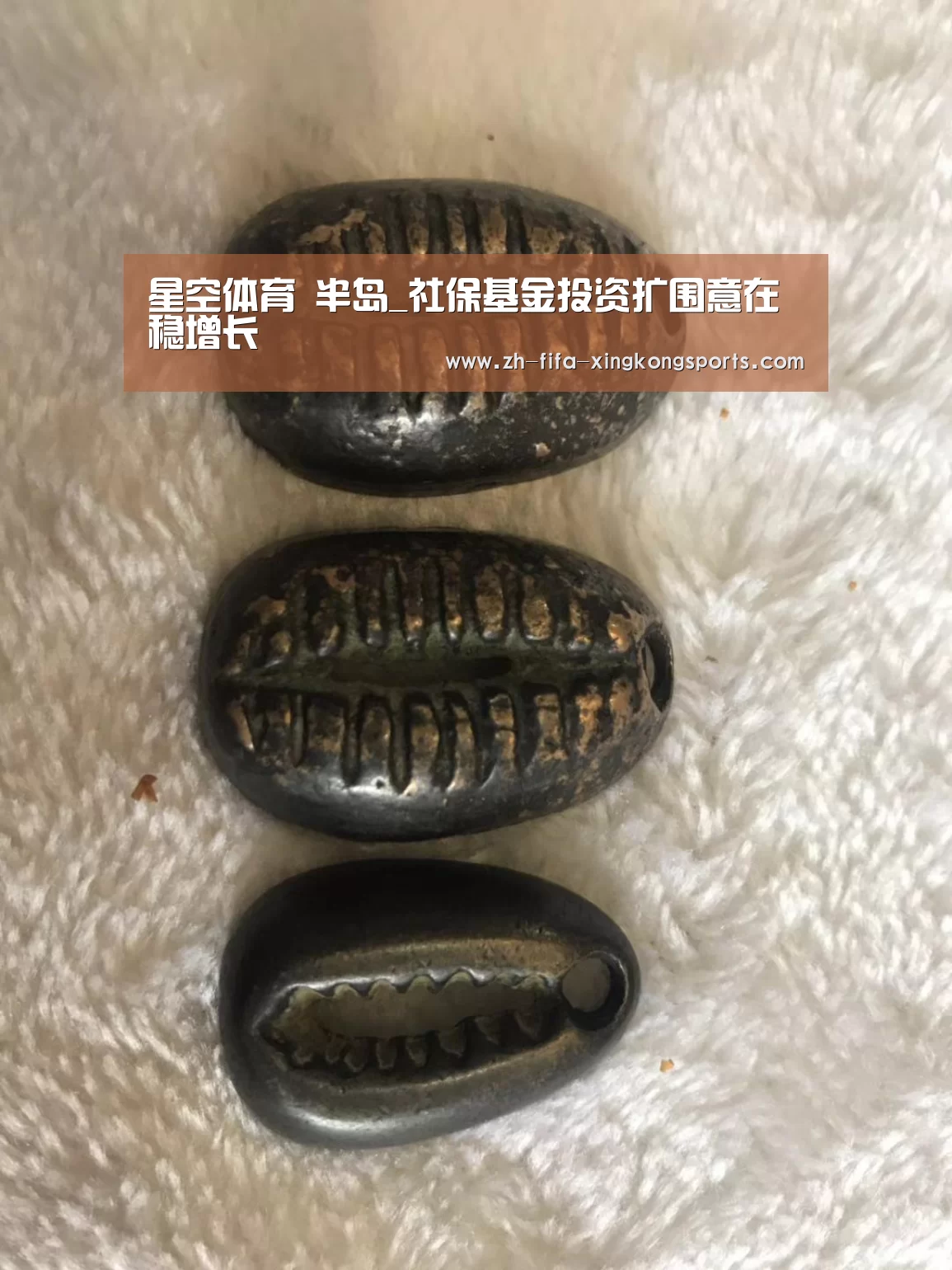 星空体育 半岛_社保基金投资扩围意在稳增长(图3) 星空体育app