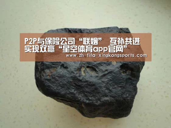 P2P与保险公司“联姻” 互补共进实现双赢“星空体育app官网”(图1) P2P与保险公司“联姻” 互补共进实现双赢“星空体育app官网”(图1)